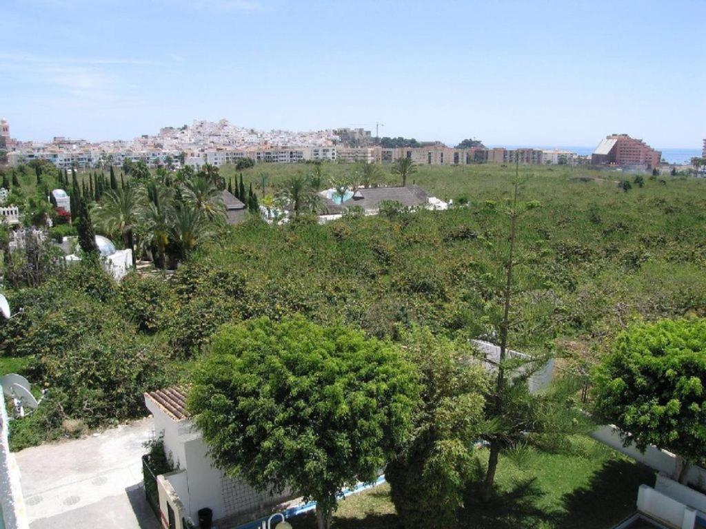 Las Palmeras Almuñécar Buitenkant foto