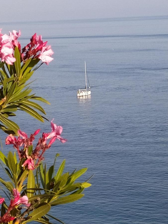 Las Palmeras Almuñécar Buitenkant foto