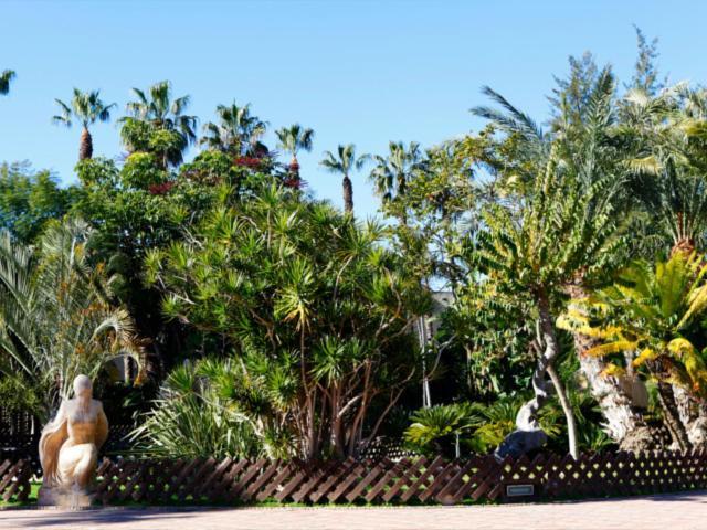 Las Palmeras Almuñécar Buitenkant foto